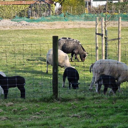 Hemmer Hoeve Екстер'єр фото